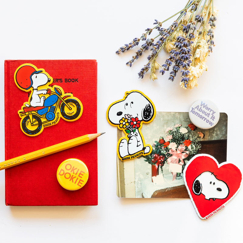 CafePress Snoopy & Peanuts Rectangle Car Bumper Or Refrigerator Magnet - 2 Sizes Available