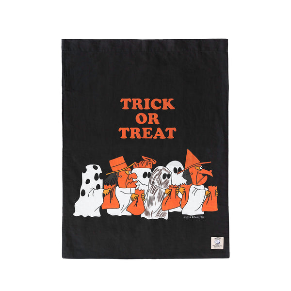 Peanuts® Halloween Trick or Treat Bag ROCK Pillowcase Style